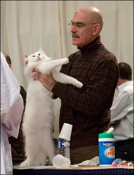 Wonderwoods Easy Rider 4.jpg - Wonderwoods Easy Rider